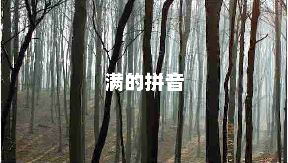 滿的拼音 滿的拼音