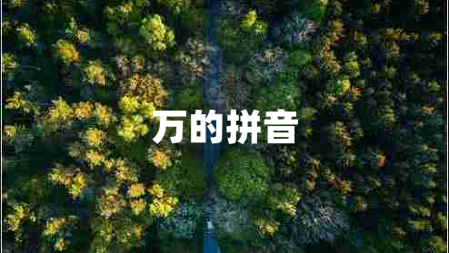 萬的拼音