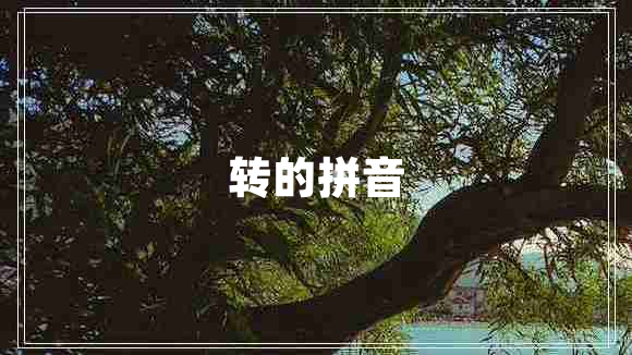 轉(zhuǎn)的拼音 轉(zhuǎn)的拼音