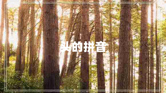 頭的拼音