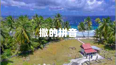 撒的拼音 撒的拼音