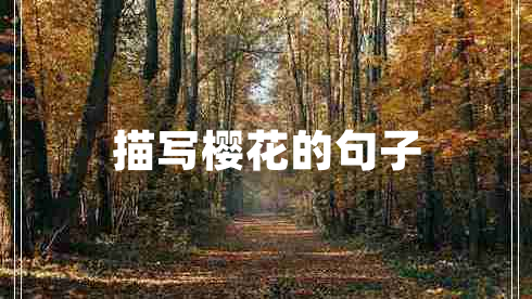 描寫櫻花的句子