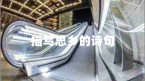 描寫思鄉(xiāng)的詩句