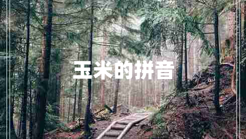 玉米的拼音 玉米的拼音