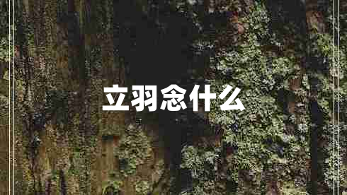 立羽念什么 立羽念什么