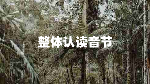 整體認(rèn)讀音節(jié)