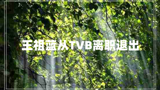 王祖藍(lán)從TVB離職退出