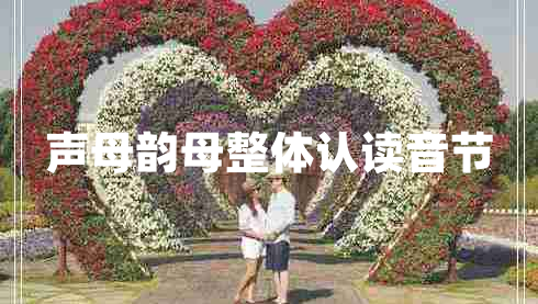 聲母韻母整體認(rèn)讀音節(jié)