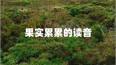 果實(shí)累累的讀音 果實(shí)累累的讀音