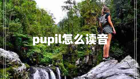 pupil怎么讀音