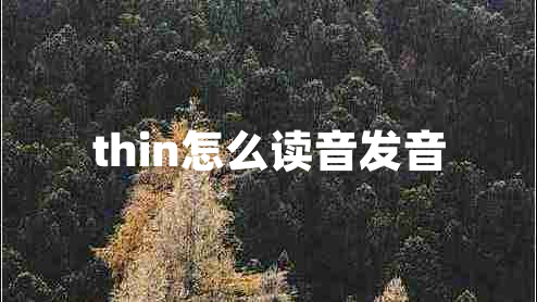 thin怎么讀音發(fā)音