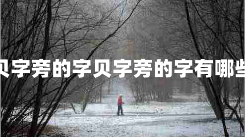 貝字旁的字貝字旁的字有哪些