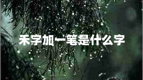 禾字加一筆是什么字