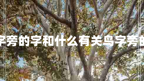 鳥字旁的字和什么有關(guān)鳥字旁的字