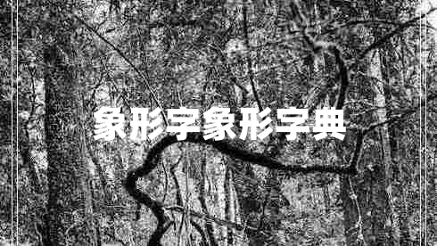 象形字象形字典