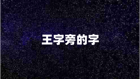 王字旁的字 王字旁的字
