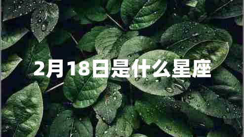 2月18日是什么星座 2月18日是什么星座