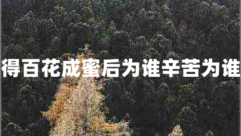 采得百花成蜜后為誰辛苦為誰甜 采得百花成蜜后為誰辛苦為誰甜