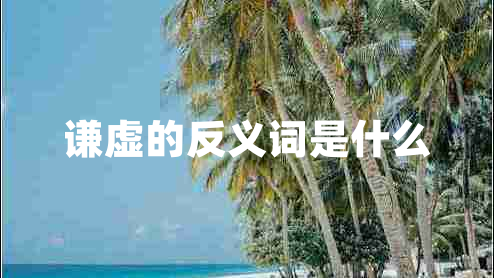 謙虛的反義詞是什么