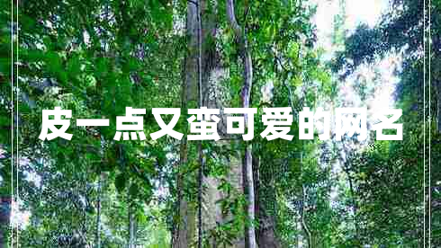 皮一點又蠻可愛的網(wǎng)名 皮一點又蠻可愛的網(wǎng)名