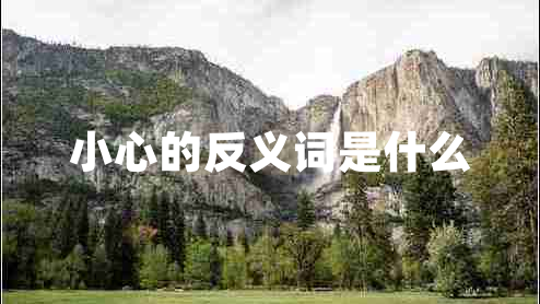 小心的反義詞是什么 小心的反義詞是什么