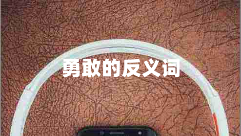 勇敢的反義詞