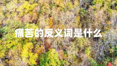 痛苦的反義詞是什么