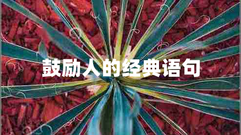 鼓勵人的經(jīng)典語句