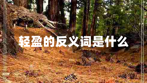 輕盈的反義詞是什么