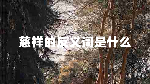 慈祥的反義詞是什么