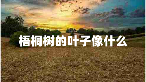 梧桐樹的葉子像什么 梧桐樹的葉子像什么