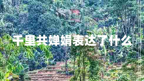 千里共嬋娟表達(dá)了什么