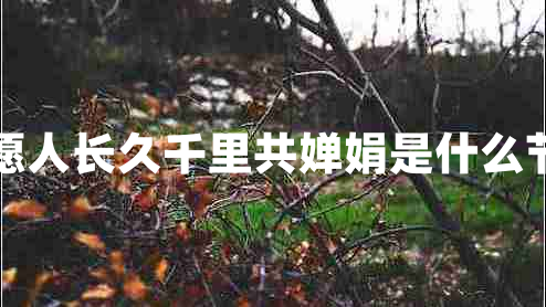 但愿人長(zhǎng)久千里共嬋娟是什么節(jié)日