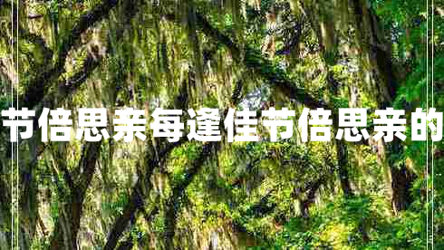 獨在異鄉(xiāng)為異客每逢佳節(jié)倍思親每逢佳節(jié)倍思親的上一句和下一句是什么