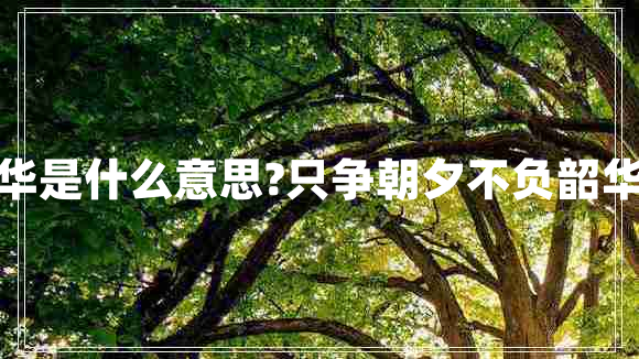 不負(fù)韶華是什么意思?只爭(zhēng)朝夕不負(fù)韶華的意思