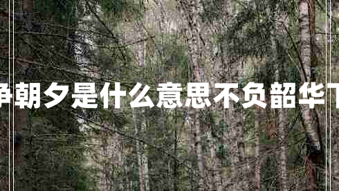 不負(fù)韶華只爭朝夕是什么意思不負(fù)韶華下一句是什么