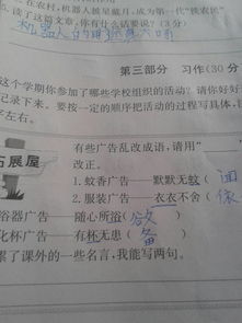 校園的活動作文300