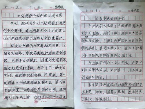 安全進校園知識作文