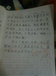 校園作文大全300字三級(jí)