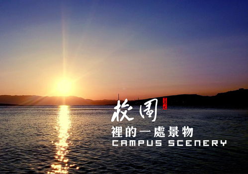 我們的校園作文景色