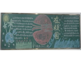 冬季的校園作文800字