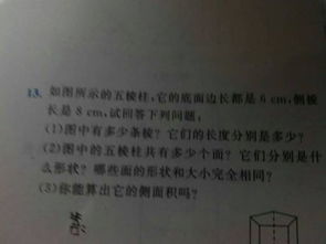 看我的校園500字作文