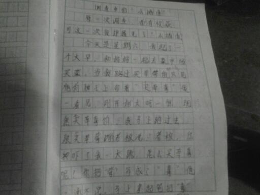 作文,調(diào)查報告,衛(wèi)生,校園