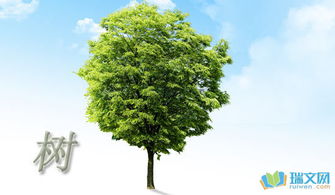 我是校園中的一棵樹作文