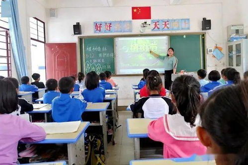 作文關(guān)于校園新穎的主題班會