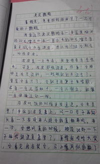 我愛(ài)什么的校園作文300字