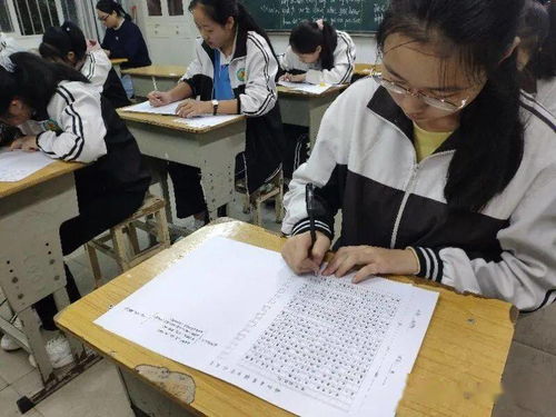 愛在校園作文初中作文600字作文大全