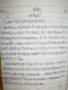 校園合作共成長作文
