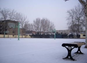 冬天校園生活作文大全