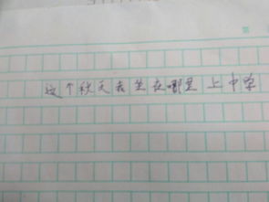 校園的秋天300字高中作文大全